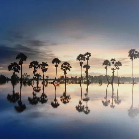 Апартаменты Wavetower *