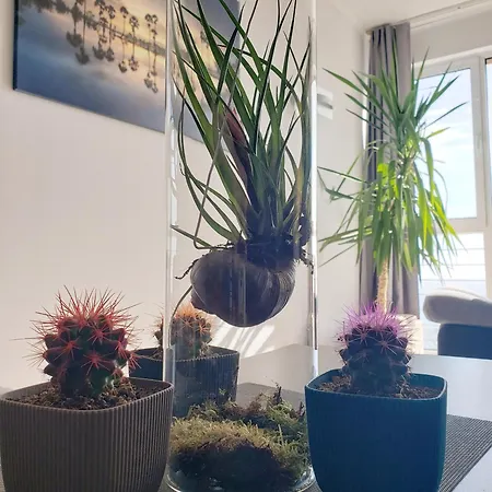 Wavetower Apartament Złote Piaski