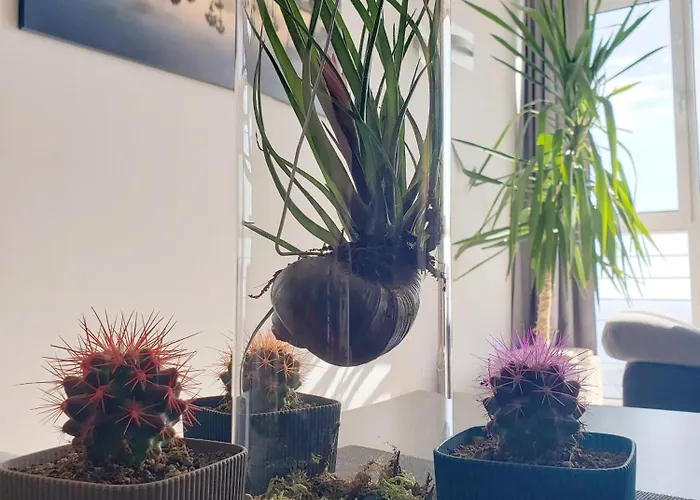 Wavetower Apartmán Zlate písky